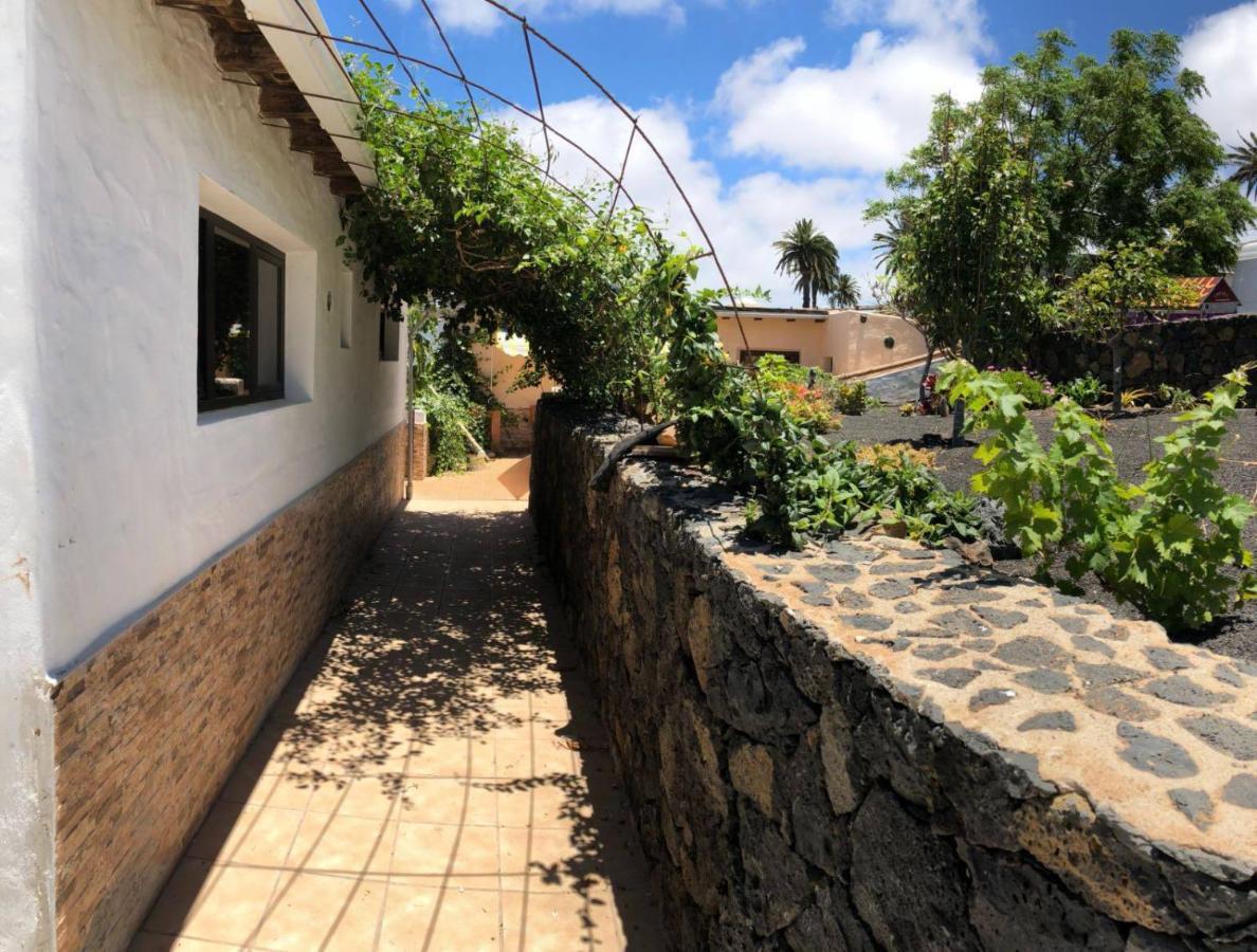 Casa Palmera Y Casa Datil Haría Dış mekan fotoğraf