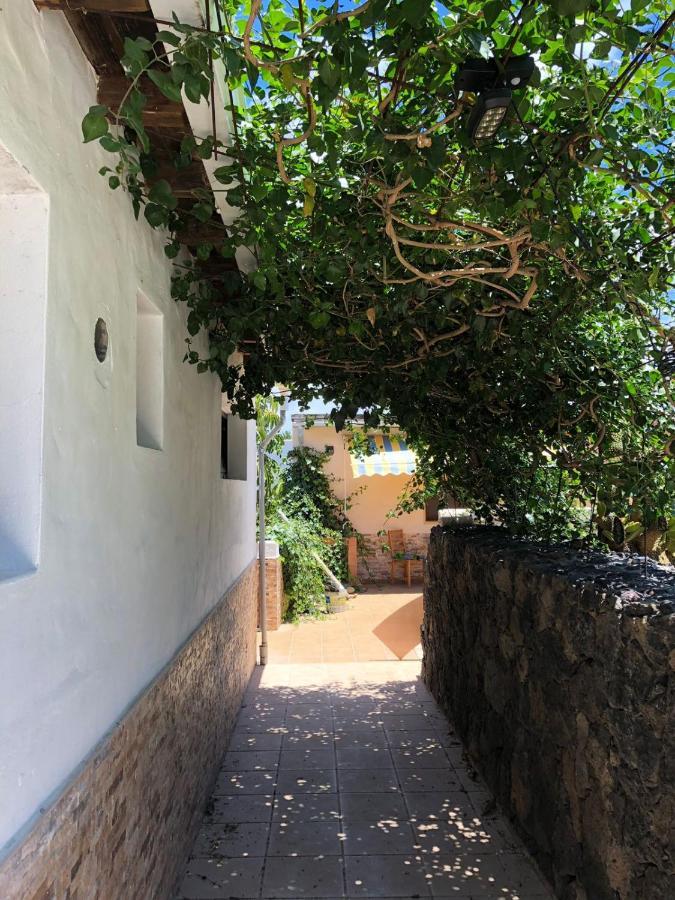 Casa Palmera Y Casa Datil Haría Dış mekan fotoğraf