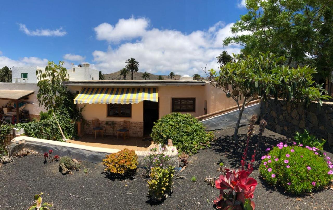 Casa Palmera Y Casa Datil Haría Dış mekan fotoğraf