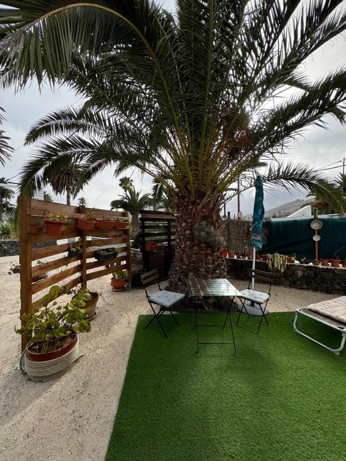 Casa Palmera Y Casa Datil Haría Oda fotoğraf